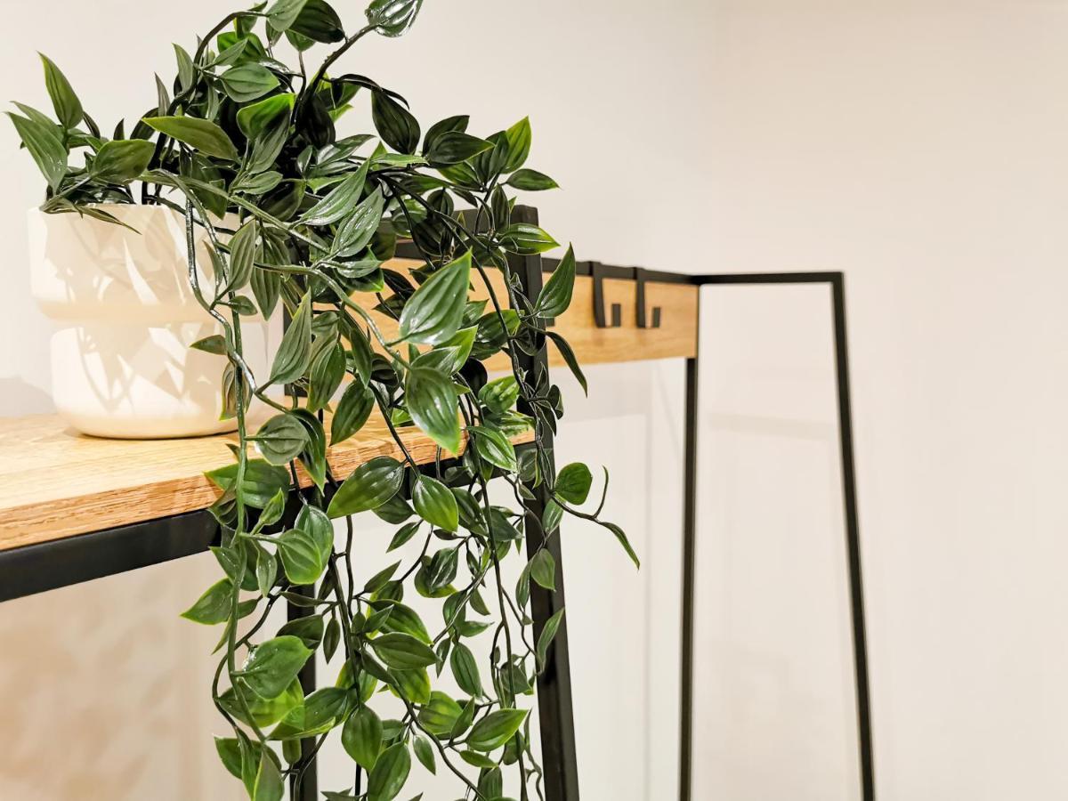 Appartement Ma Douce Charente - Superbe T3 Design Et Fonctionnel - Hyper Centre A 생트 외부 사진